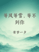 等风等雪，等不到你