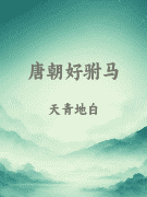 唐朝好驸马