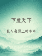 节度天下