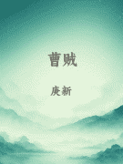 曹贼