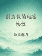 副总裁的秘密协议